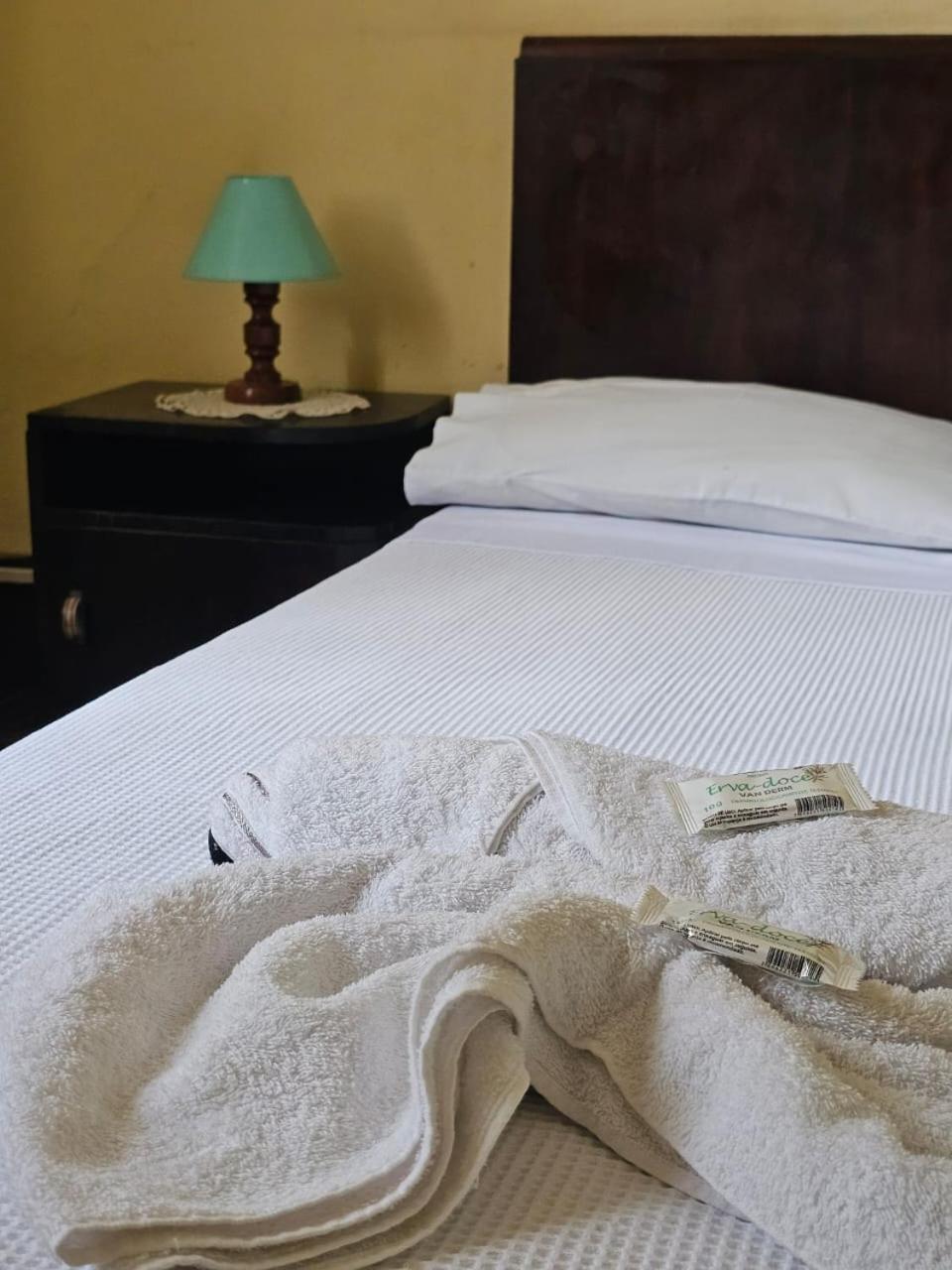 Varzea Palace Hotel Терезополіс Екстер'єр фото